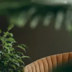 Sådan kombinerer du tapet og interiørdesign for at skabe et harmonisk hjem