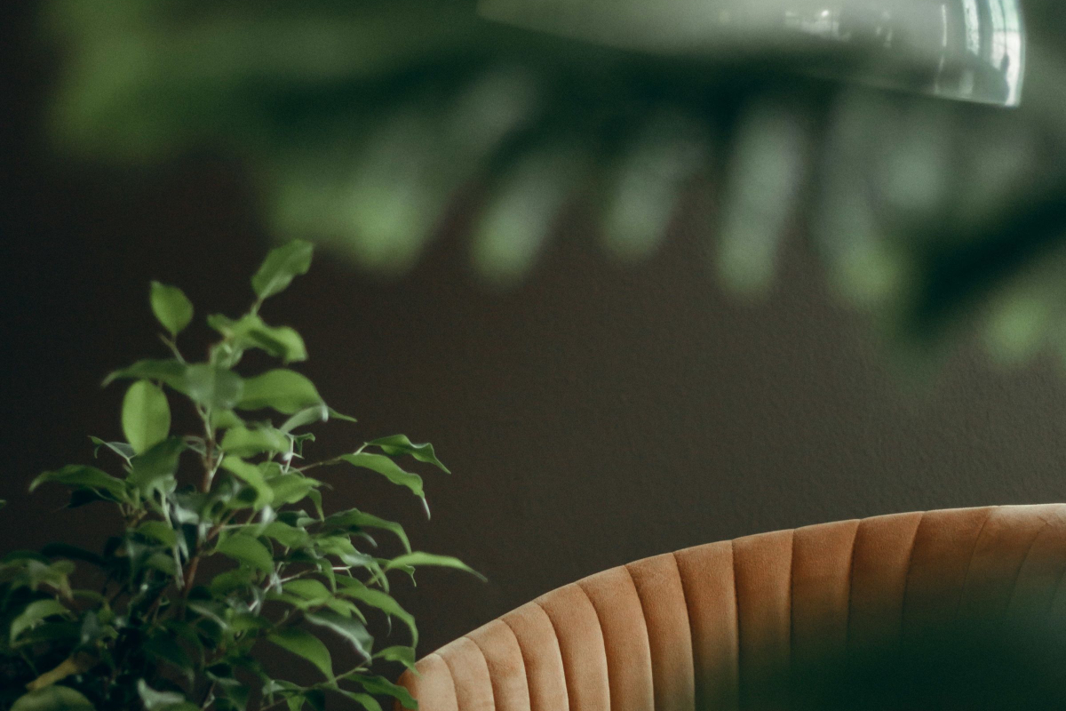 Sådan kombinerer du tapet og interiørdesign for at skabe et harmonisk hjem